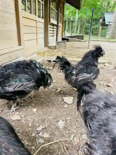 身曾岐神社(山梨県)