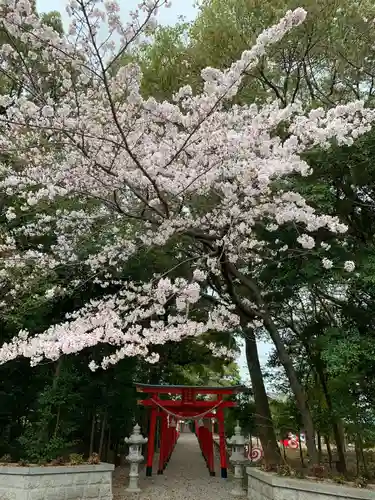 彌都加伎神社のその他建物