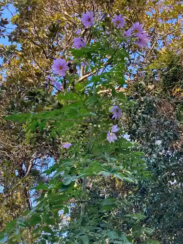 覚園寺(神奈川県)