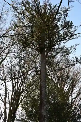 三ケ所神社(宮崎県)