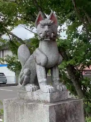 稲荷神社（柏井稲荷社）の狛犬
