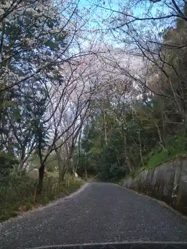 足高神社の自然