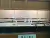 熱田神宮(愛知県)