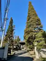 東長谷寺 薬王院の{uncategorized: "未分類", other: "その他", undefined: "問題あり", building: "その他建物", grave: "お墓", sacred_gate: "鳥居", guardian: "狛犬", statue: "像", buddha: "仏像", history: "歴史", nature: "自然", garden: "庭園", animal: "動物", pagoda: "塔", temizu: "手水舎", mountain_gate: "山門・神門", sanctuary: "本殿・本堂", subordinate: "末社・摂社", art: "芸術", scenery: "景色", jizo: "地蔵", ema: "絵馬", goshuin: "御朱印", omikuji: "おみくじ", items: "授与品その他", amulet: "お守り", goshuincho: "御朱印帳", eats: "食事", festival: "お祭り", votive_dance: "神楽", shichigosan: "七五三参", wedding: "結婚式", experience: "体験その他", initially: "初詣", around: "周辺", anti_infection: "感染症対策"}