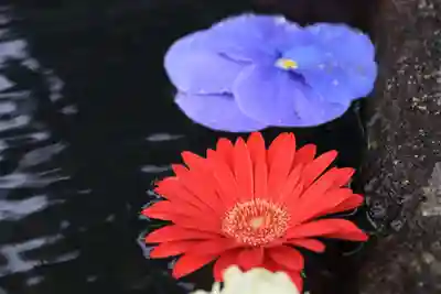 大鏑神社の手水舎