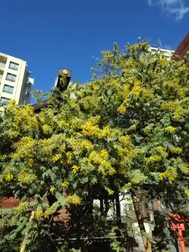 蔵前神社(東京都)