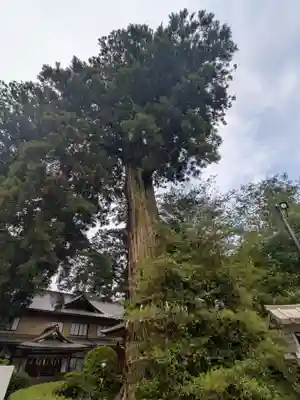 香取神宮(千葉県)