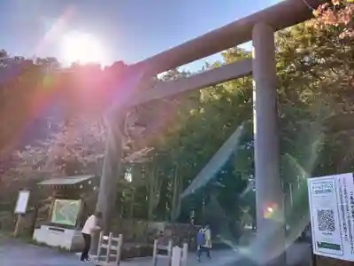 北海道神宮の鳥居