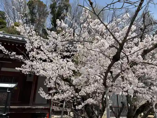 安岡寺(大阪府)
