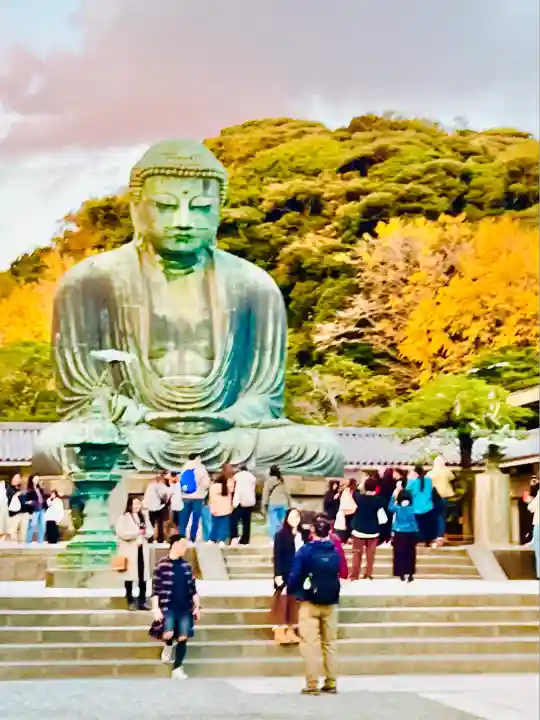 高徳院(神奈川県)