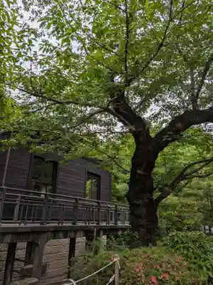 乃木神社(東京都)