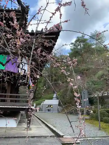 今熊野観音寺のその他建物