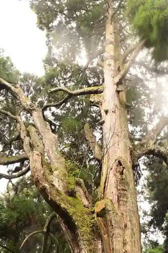 草部吉見神社(熊本県)