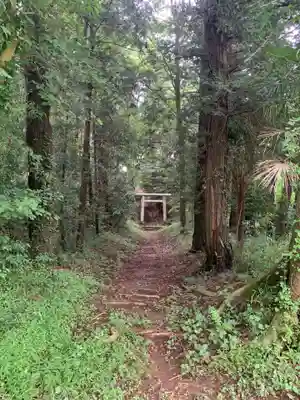 白幡神社のその他建物