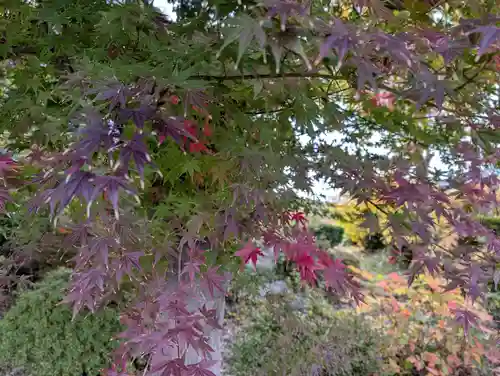 豊景神社(福島県)