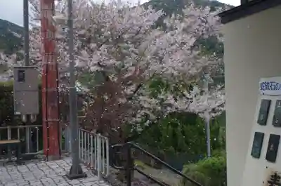 熊野那智大社(和歌山県)