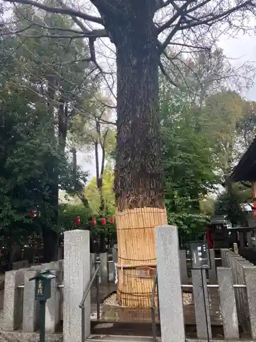 田無神社(東京都)