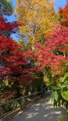 北野天満宮(京都府)