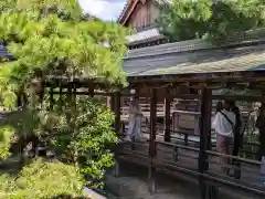 大覚寺(京都府)