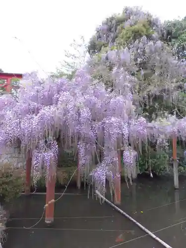 嘉川八幡宮(山口県)