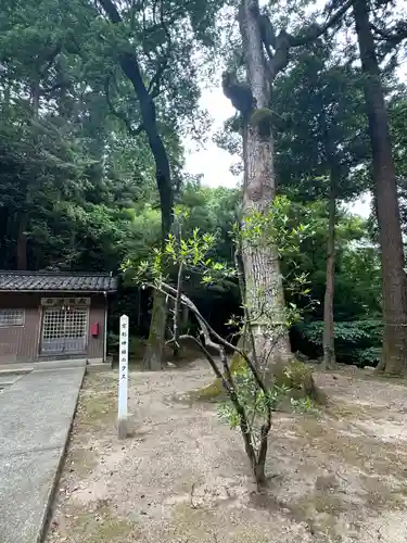 宗形神社(鳥取県)