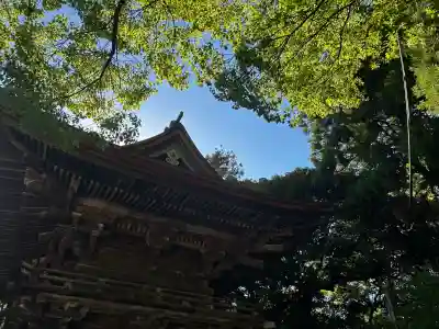 府八幡宮の{uncategorized: "未分類", other: "その他", undefined: "問題あり", building: "その他建物", grave: "お墓", sacred_gate: "鳥居", guardian: "狛犬", statue: "像", buddha: "仏像", history: "歴史", nature: "自然", garden: "庭園", animal: "動物", pagoda: "塔", temizu: "手水舎", mountain_gate: "山門・神門", sanctuary: "本殿・本堂", subordinate: "末社・摂社", art: "芸術", scenery: "景色", jizo: "地蔵", ema: "絵馬", goshuin: "御朱印", omikuji: "おみくじ", items: "授与品その他", amulet: "お守り", goshuincho: "御朱印帳", eats: "食事", festival: "お祭り", votive_dance: "神楽", shichigosan: "七五三参", wedding: "結婚式", experience: "体験その他", initially: "初詣", around: "周辺", anti_infection: "感染症対策"}