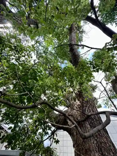 阿保神社(大阪府)