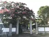 長松寺の山門・神門