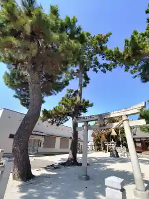 天白神社の鳥居
