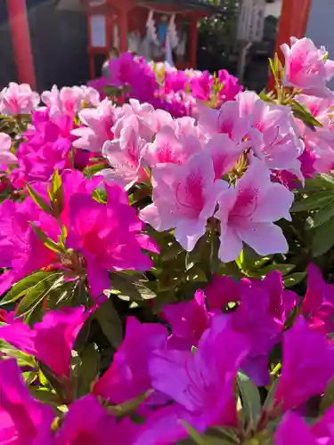 崇道天皇社(奈良県)