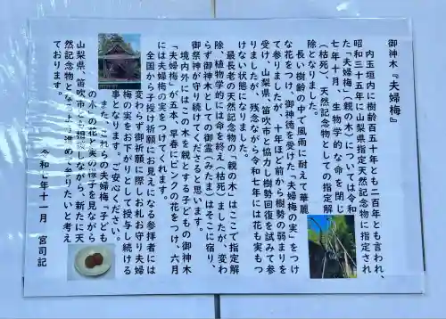 甲斐國一宮 浅間神社(山梨県)