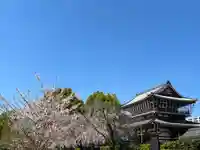 真宗大谷派名古屋別院(愛知県)