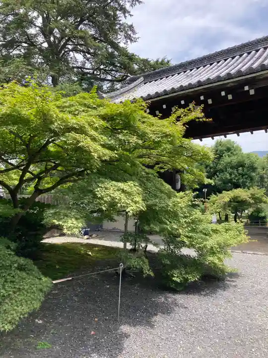 実相院門跡(京都府)