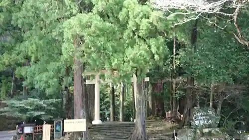 飛瀧神社（熊野那智大社別宮）の鳥居