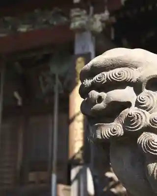 泉竜寺(乙女不動尊)(栃木県)