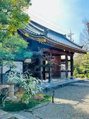善徳寺の{uncategorized: "未分類", other: "その他", undefined: "問題あり", building: "その他建物", grave: "お墓", sacred_gate: "鳥居", guardian: "狛犬", statue: "像", buddha: "仏像", history: "歴史", nature: "自然", garden: "庭園", animal: "動物", pagoda: "塔", temizu: "手水舎", mountain_gate: "山門・神門", sanctuary: "本殿・本堂", subordinate: "末社・摂社", art: "芸術", scenery: "景色", jizo: "地蔵", ema: "絵馬", goshuin: "御朱印", omikuji: "おみくじ", items: "授与品その他", amulet: "お守り", goshuincho: "御朱印帳", eats: "食事", festival: "お祭り", votive_dance: "神楽", shichigosan: "七五三参", wedding: "結婚式", experience: "体験その他", initially: "初詣", around: "周辺", anti_infection: "感染症対策"}