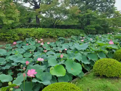 東寺（教王護国寺）の庭園