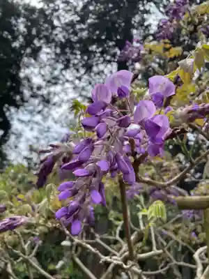 歌泉堂（春日大社神苑萬葉植物園内鎮座）(奈良県)