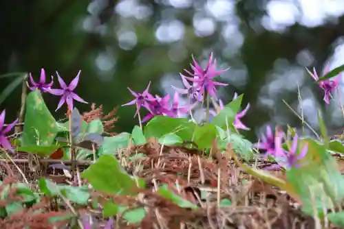 田村神社の自然