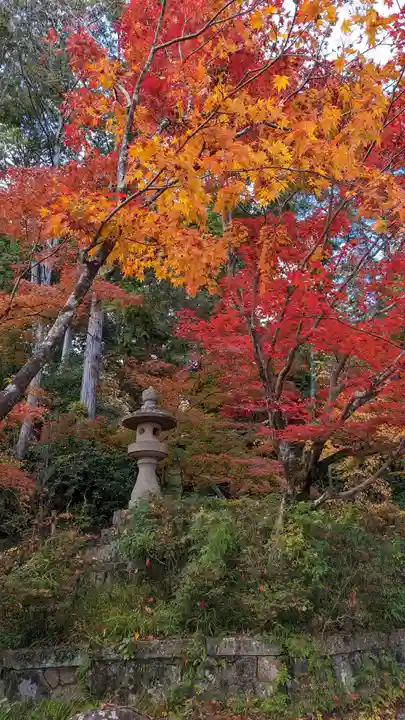 光明寺(粟生光明寺)(京都府)