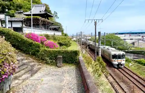 清見寺(静岡県)