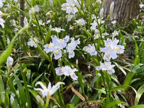 大宮温泉神社(栃木県)