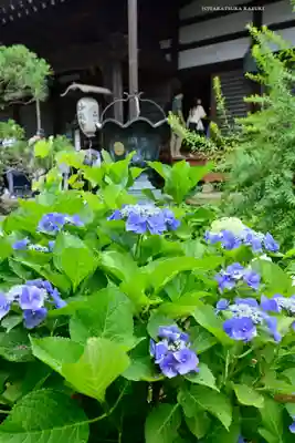 妙楽寺(神奈川県)