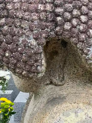 くろ谷 金戒光明寺(京都府)