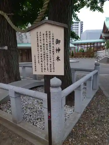 千住神社の自然