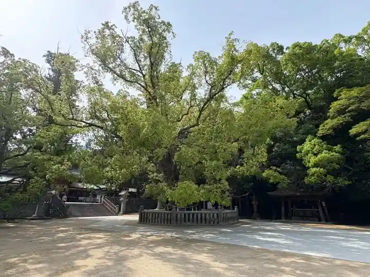 大山祇神社(愛媛県)