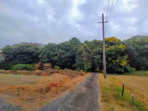 淺間社（赤池町）の自然