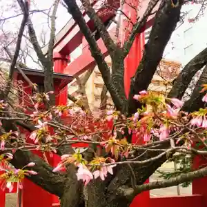彌彦神社 (伊夜日子神社)の自然(2024年04月20日(土) 09時34分01秒投稿)