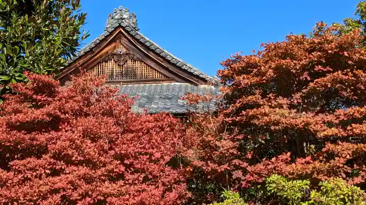 勧修寺(京都府)