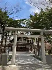 新琴似神社の鳥居